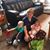 Darleen Hiserodt Strassle's profile image