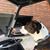 Kathy Mcchesney's profile image