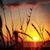 Kathy Dillon Martin's profile image