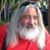 Fred Maio's profile image
