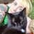 Erica Alyese Whitsell's profile image