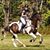 Beth Leetch Irizarry's profile image