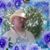 Elroy A Ball's profile image