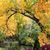 Terry Cecchi's profile image