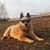 Melody Bethke-Perry's profile image