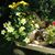 Lorna Schneeman's profile image