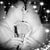Mandy Gomez's profile image