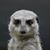Dawn Luehrs's profile image