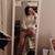 Sadie Green's profile image