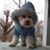Judy Bihon's profile image
