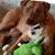 Shawnna Robinson's profile image