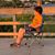 Cathy Nugent-Mirabella's profile image