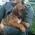 Hallie Elizabeth's profile image