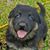 Kathy Lerchenmueller's profile image