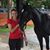 Taline Scalco Picetti's profile image