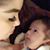 Yvette Rodriguez's profile image