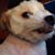 Margaret M. Barone's profile image