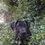 Beverley Coggins's profile image