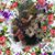 Suzi Schlaefflin Polega's profile image