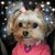 Patty Faber Flack's profile image