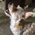 Barbara Ann Turner's profile image