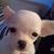 Gina Munoz's profile image