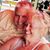 Brenda Warner Stevens's profile image