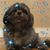 Greg Lyons's profile image