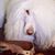 Annette Mursall Long's profile image