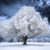Lynn Johnston's profile image