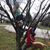 Jacqueline Mason's profile image