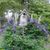 Nereyda James's profile image
