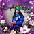 Stacy Collette Greenwood's profile image