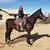 Jim Andrea Anderson's profile image