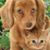 Kate Phillips's profile image