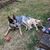 Theresa Tilter's profile image