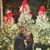 Arron Joseph Groomes's profile image