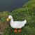 Curtis Powell's profile image