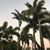 Jon P Mooers's profile image