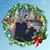 Gayle Rankin's profile image