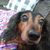Beth Luitjohan's profile image