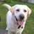 Tara Phillips's profile image