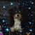 Kat Rodriguez Peterson's profile image