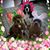 Tina Diel's profile image