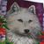 Ca Pussboots's profile image