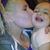 Ariel Elaine GarnerSweet's profile image