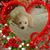 Carolyn Jo Johnson's profile image