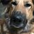Jay Kolbrener's profile image