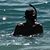 David Veneski's profile image