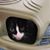 Marlene Fenner-Klinert's profile image